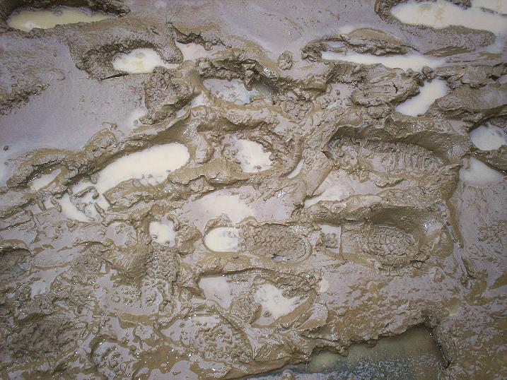mud and bootprints