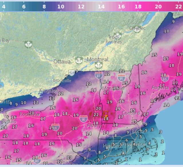 Snowfall forecast for January 20