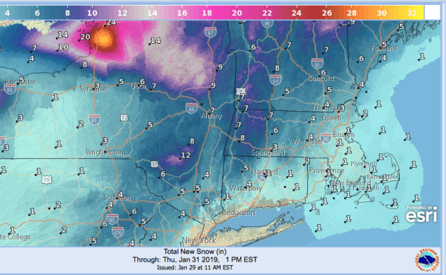 Total snowfall projected as of January 31