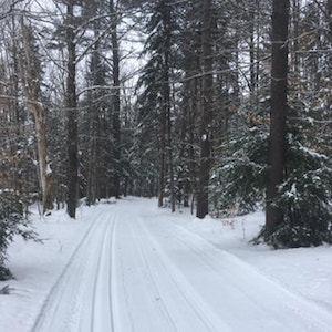 Ski trail at Viking Nordic Jan. 10