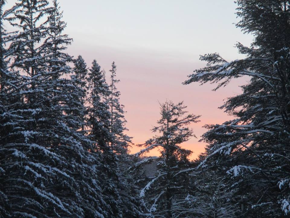 Morning at Lapland Lake