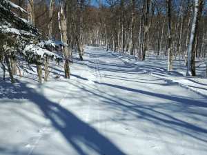 Prospect Mountain January 31