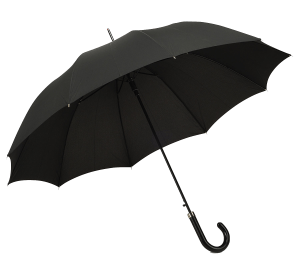 Open umbrella