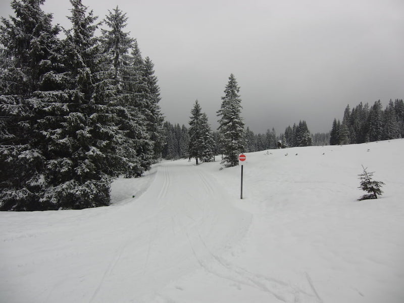View of cross-country ski trail at Winklmoosalm