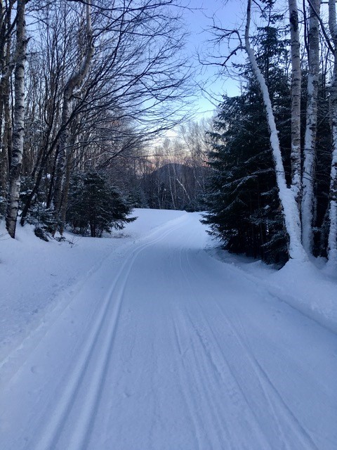 XC ski trail near Jackson NH