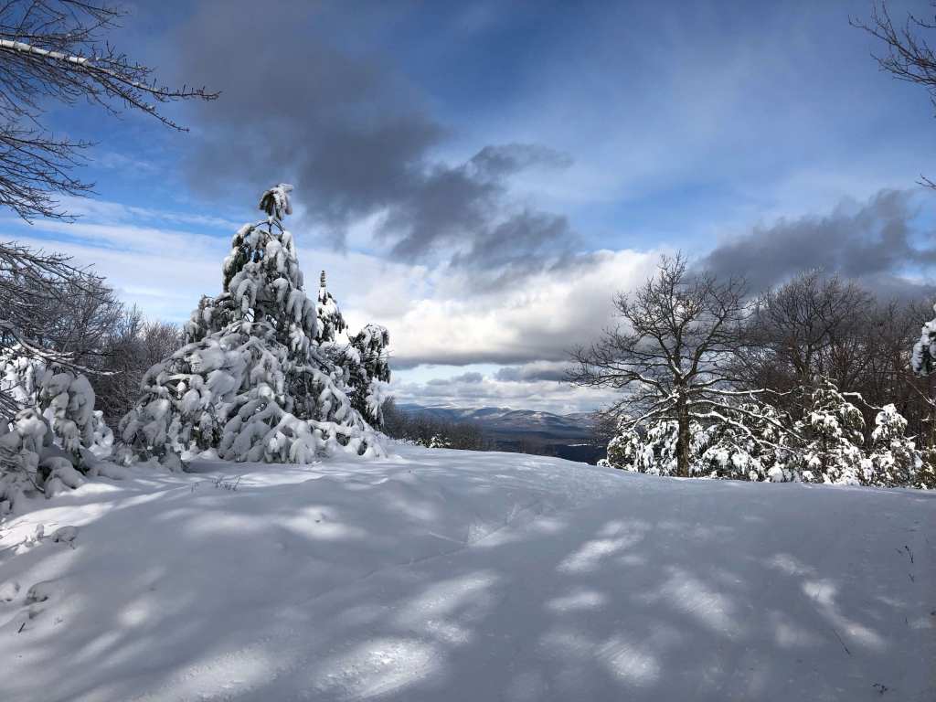Minnewaska State Park orchard area in snow.
