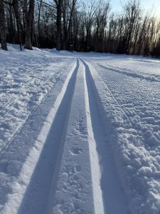 Ski tracks in early morning at Wild Wings Ski and Yoga, Dec. 15, 2024