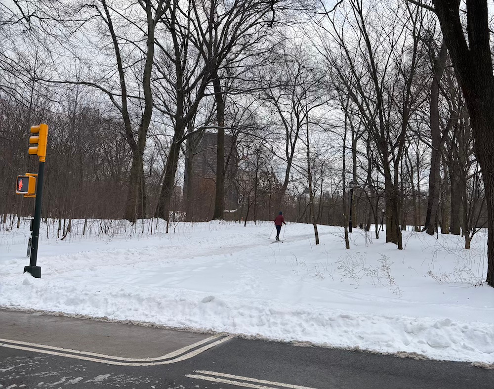 Cross-country skier skiing into wooded area of the North Woods in Central Park with buildings in the distance, Jan. 26 2026